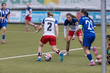 Bild 374 - wBJ Hamburger SV - FC Suederelbe : Ergebnis: 9:0